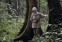 AWS Teams Up with Jane Goodall Institute to Digitize Six Decades of Primate Research Jane Goodall Institute