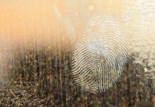 Tracing the Invisible: How Digital Forensics Powers Modern Investigations Digital Forensics