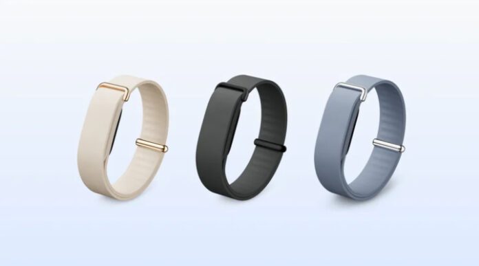 Google Fitbit Air