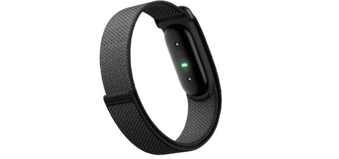 Google Fitbit Air